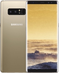 SSAMN950F64GMGUNLC_m.jpg
